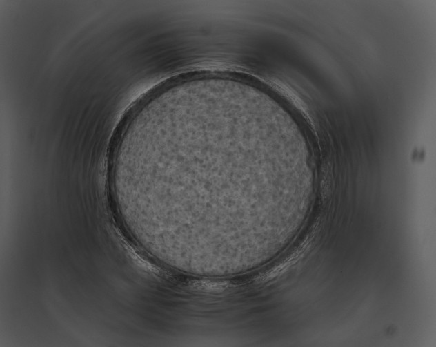 X0000095520831200801041221