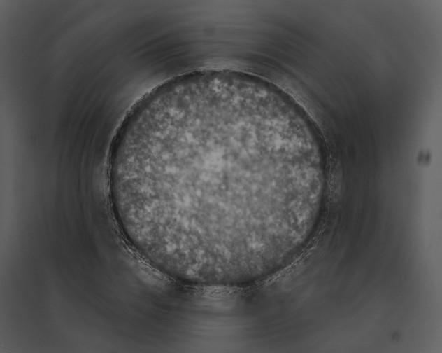 X0000095520832200801041221