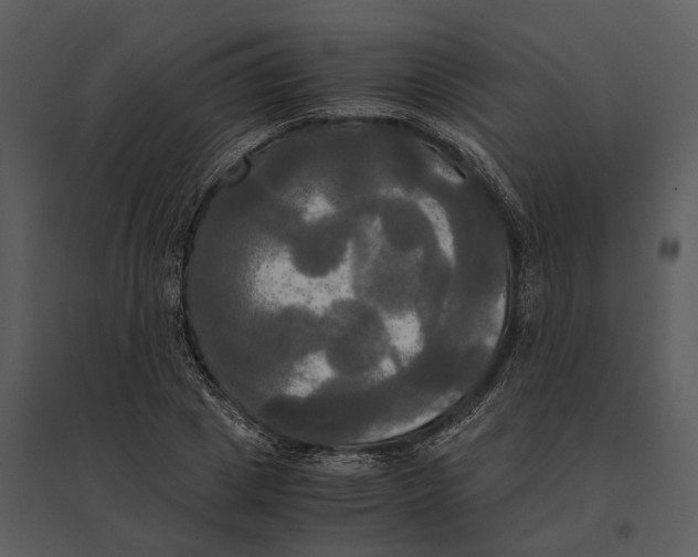 X0000095520833200801041221