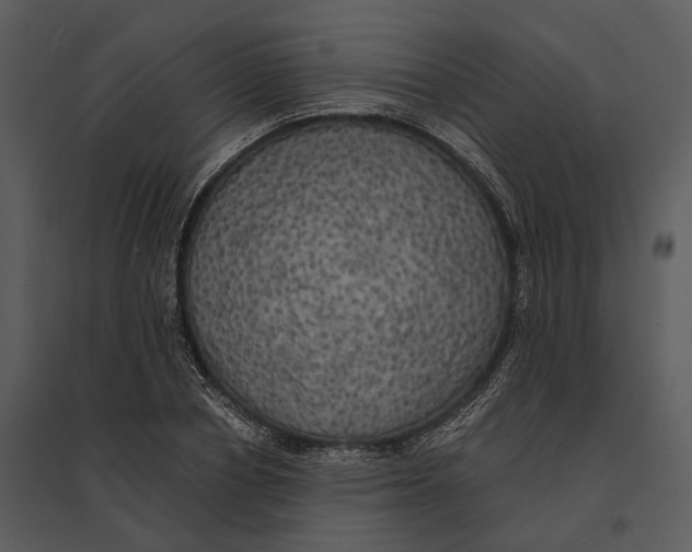 X0000095520834200801041221