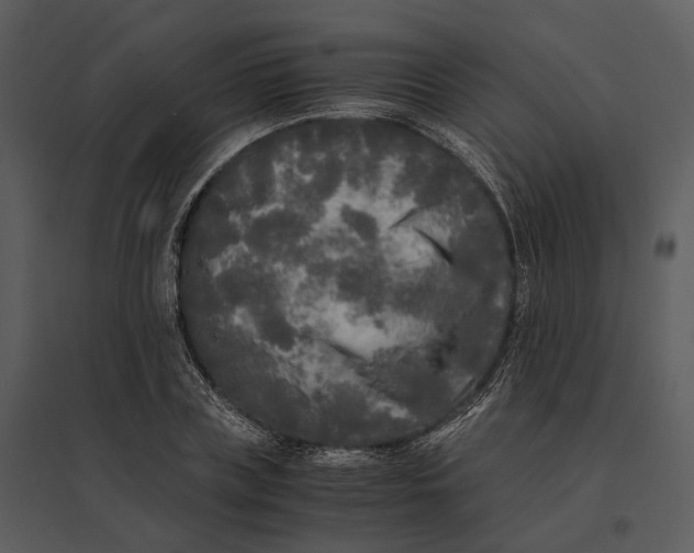 X0000095520835200801041221