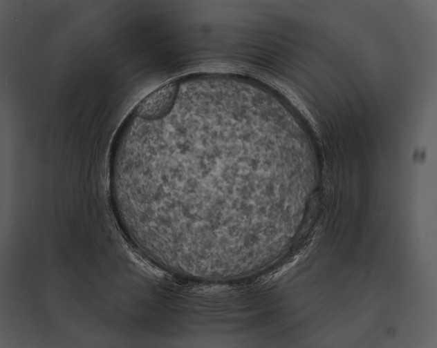 X0000095520837200801041221