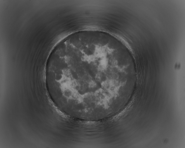 X0000095520839200801041221