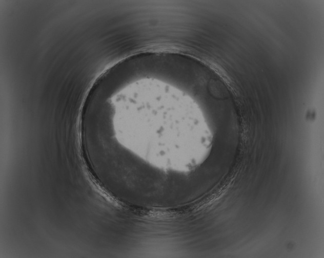 X0000095520840200801041221