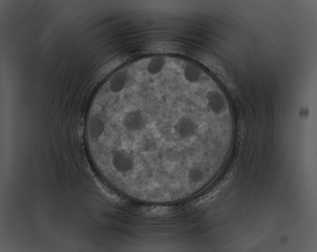 X0000095520841200801041221