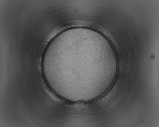 X0000095520842200801041221