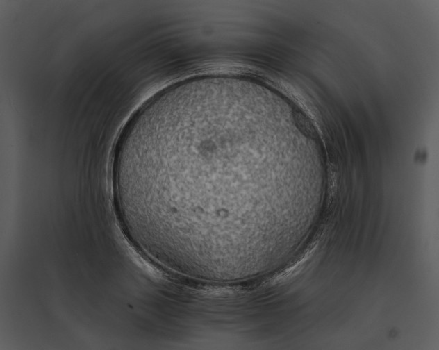 X0000095520843200801041221