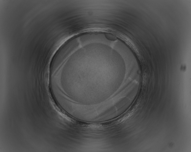 X0000095520844200801041221