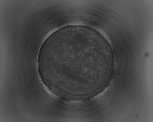 X0000095520845200801041221