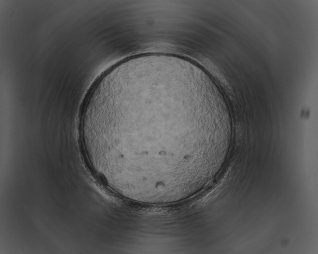 X0000095520846200801041221