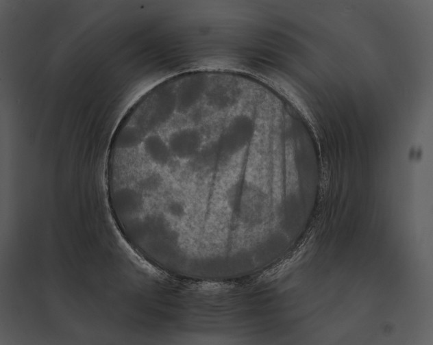 X0000095520847200801041221