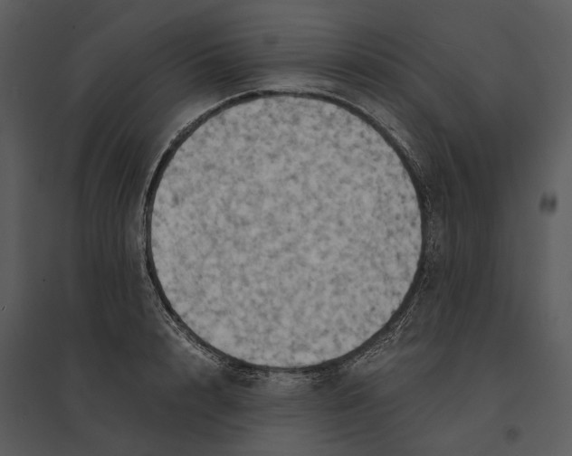 X0000095520848200801041221