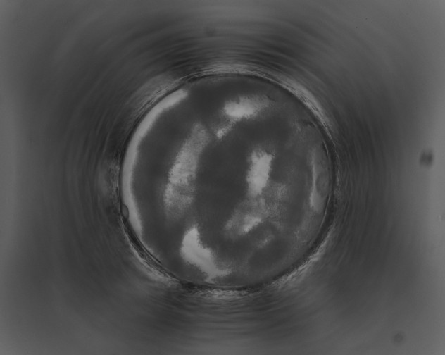 X0000095520849200801041221