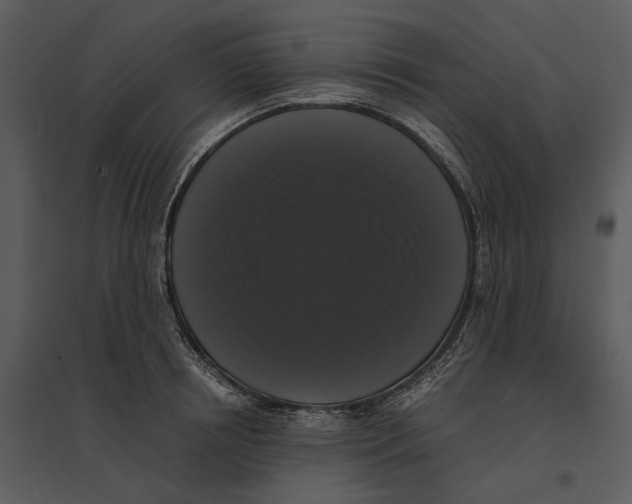 X0000095520850200801041221