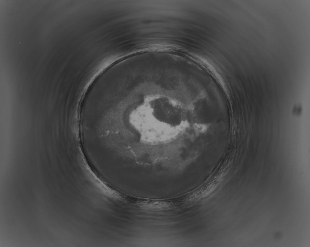 X0000095520851200801041221