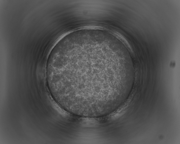 X0000095520852200801041221