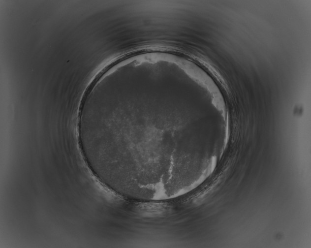 X0000095520853200801041221