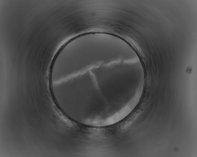 X0000095520854200801041221