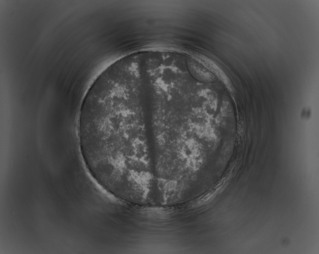 X0000095520855200801041221