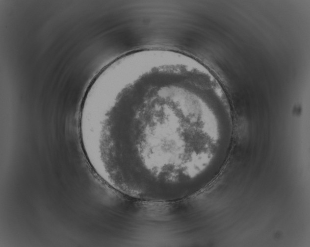 X0000095520856200801041221