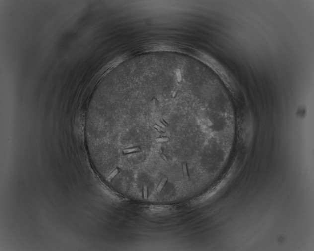 X0000095520857200801041221