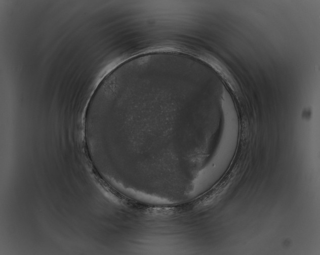 X0000095520858200801041221