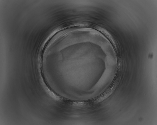 X0000095520859200801041221