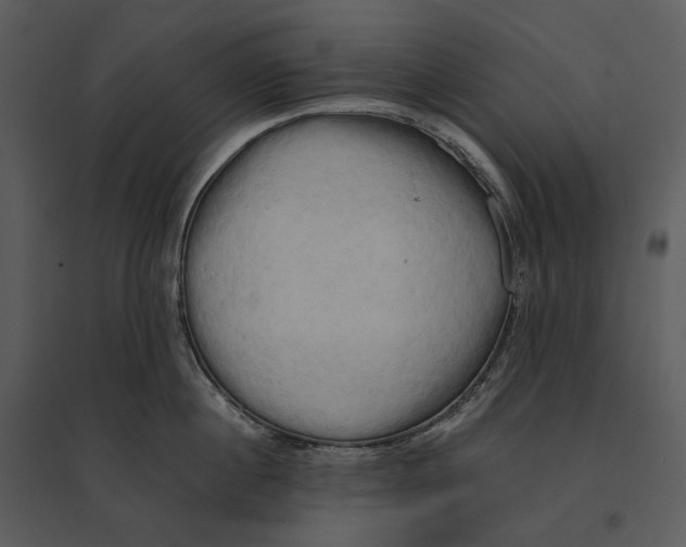 X0000095520860200801041221