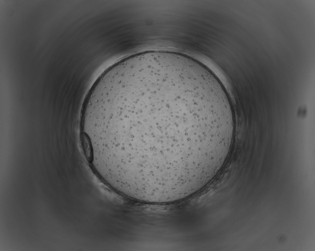 X0000095520861200801041221