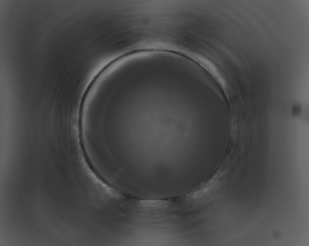 X0000095520863200801041221