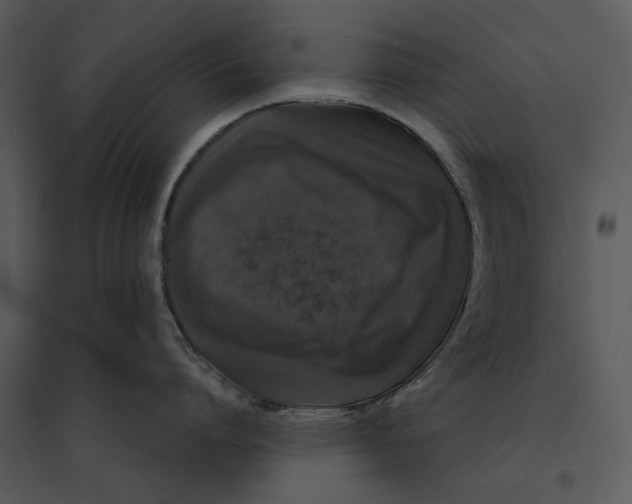 X0000095520864200801041221