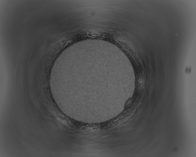 X0000095520865200801041221