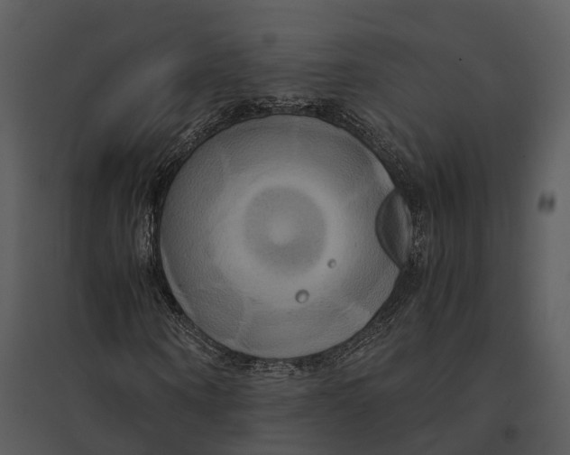 X0000095520866200801041221