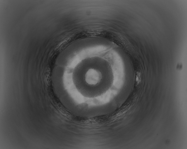 X0000095520867200801041221