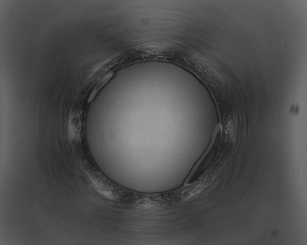 X0000095520868200801041221