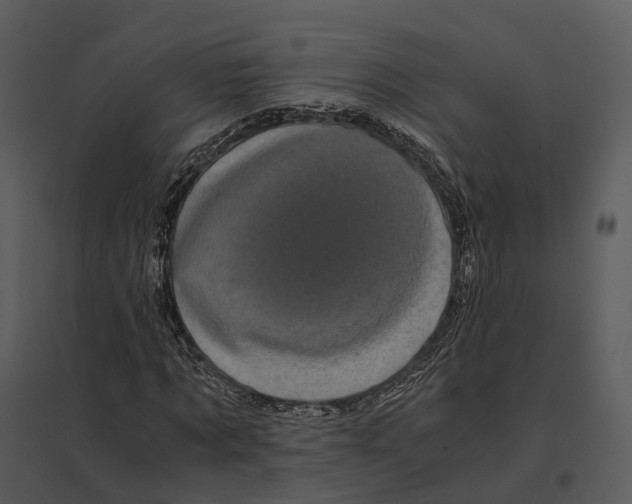 X0000095520869200801041221