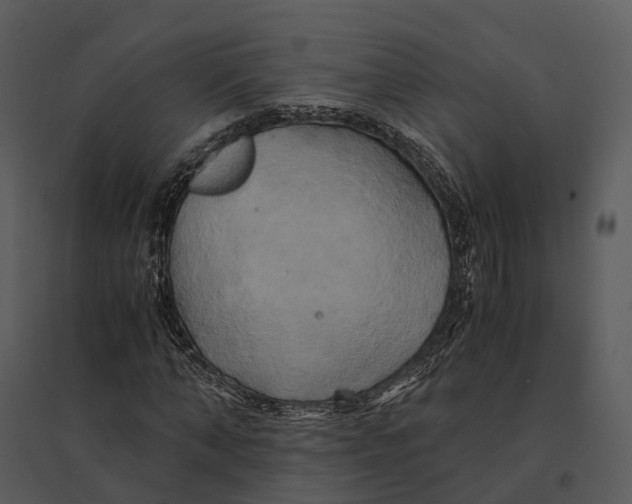 X0000095520870200801041221