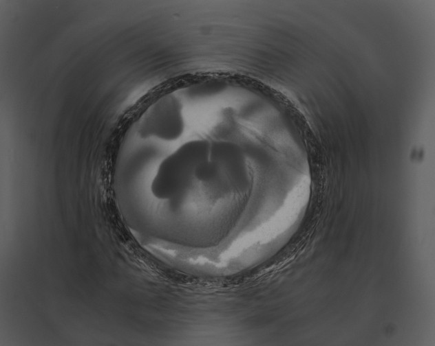 X0000095520871200801041221