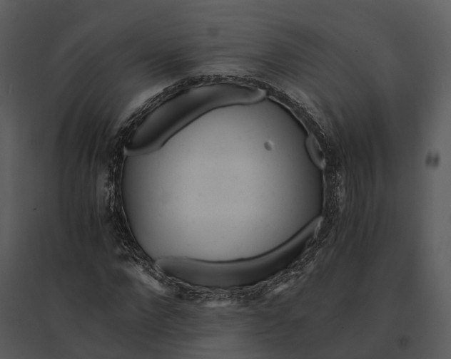 X0000095520872200801041221