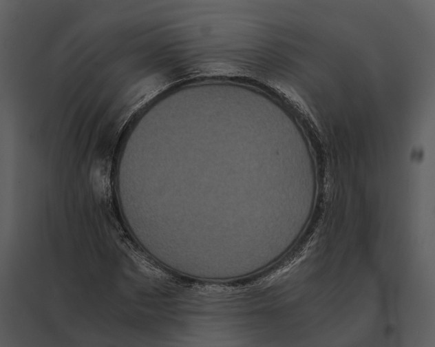 X0000095520873200801041221