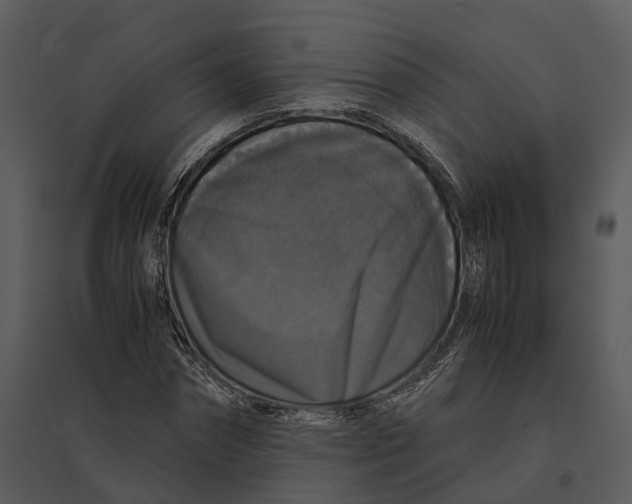 X0000095520874200801041220