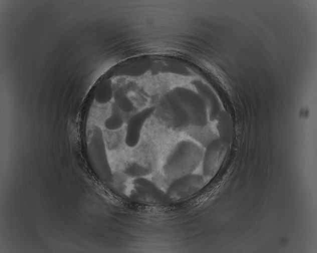 X0000095520875200801041220