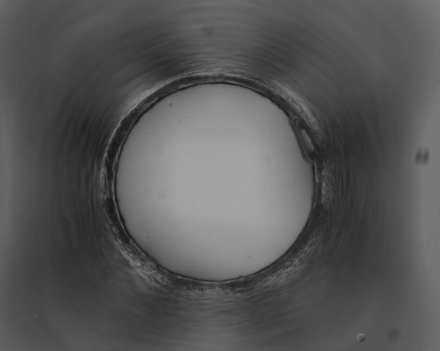 X0000095520876200801041220