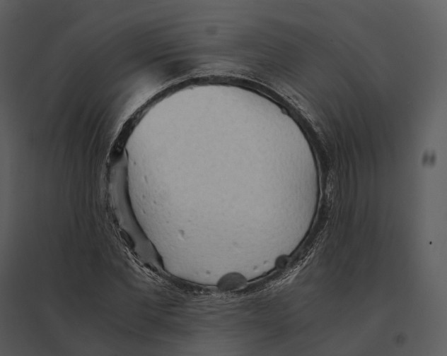 X0000095520877200801041220