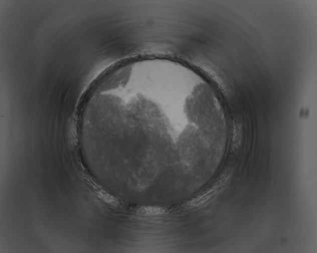 X0000095520878200801041220