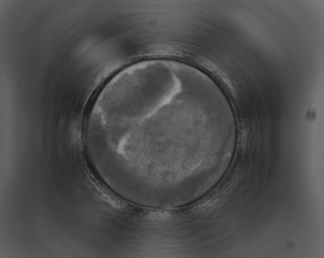 X0000095520882200801041220