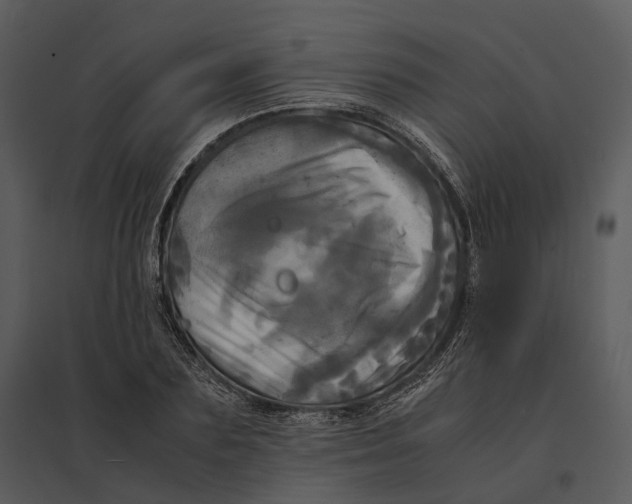 X0000095520883200801041220