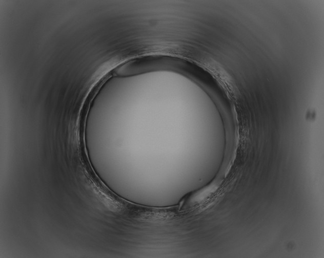 X0000095520884200801041220