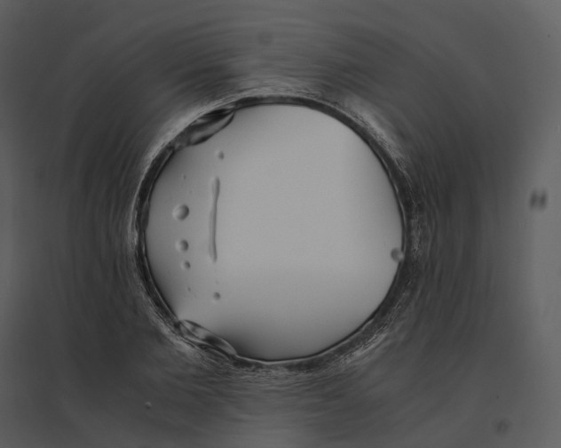 X0000095520885200801041220