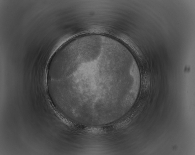 X0000095520886200801041220